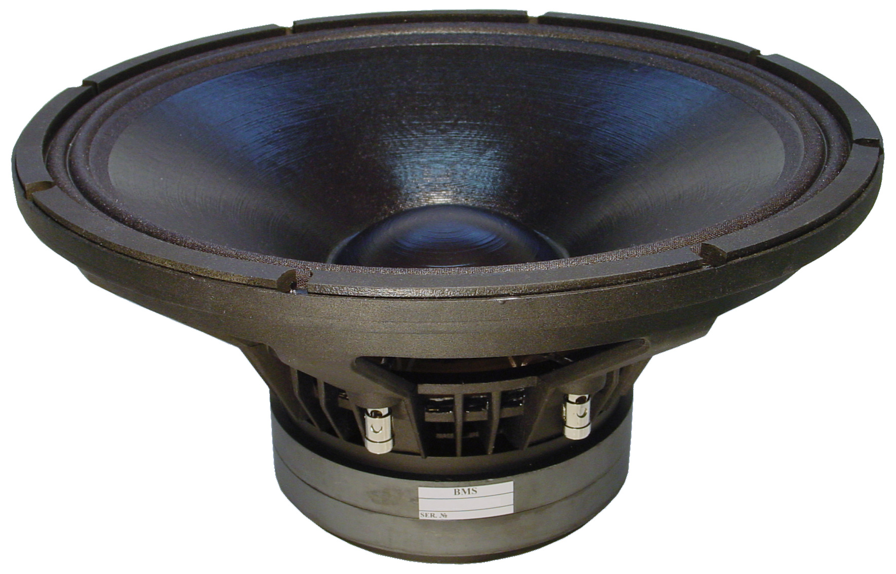 bms subwoofer