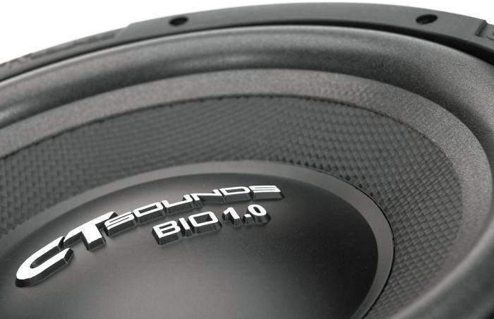 ct sounds bio 12