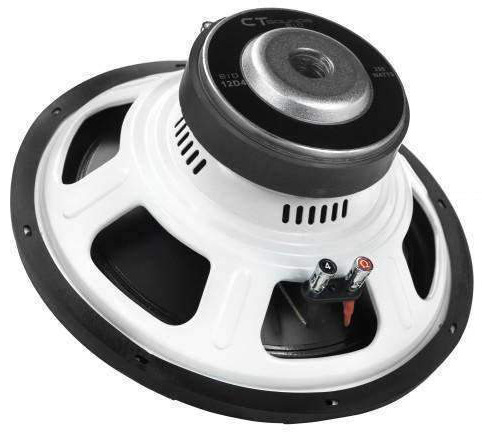 ct sounds bio 12
