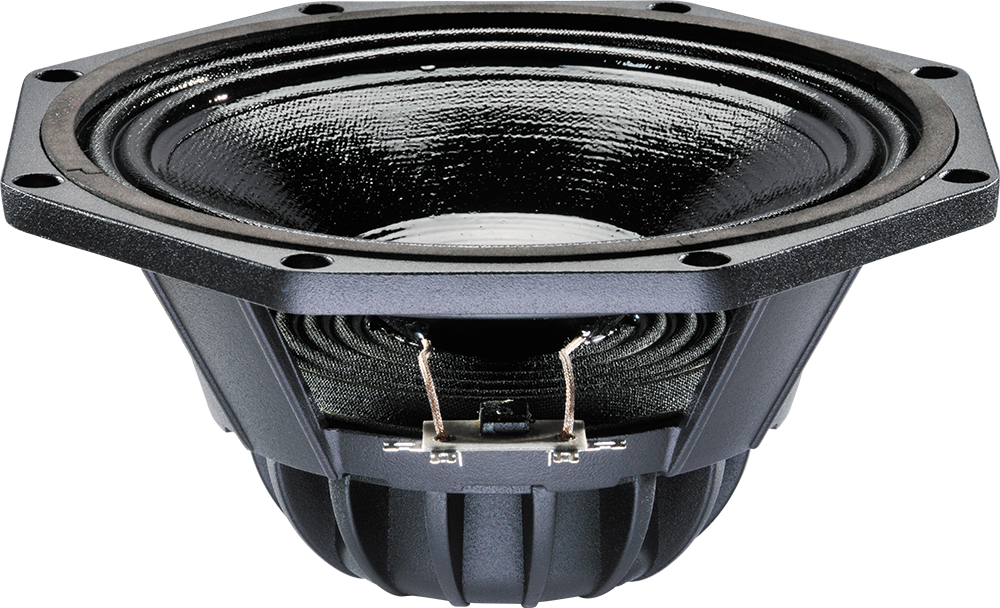 Celestion NTR08-2011D Low frequency