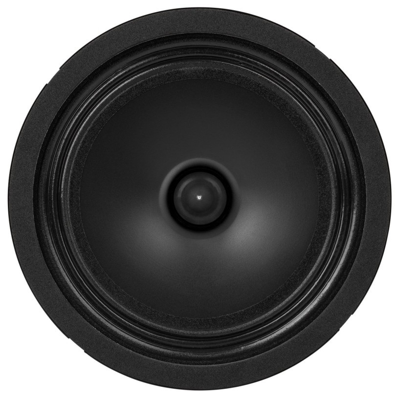 Dayton Audio PS65LP-4 Full-range