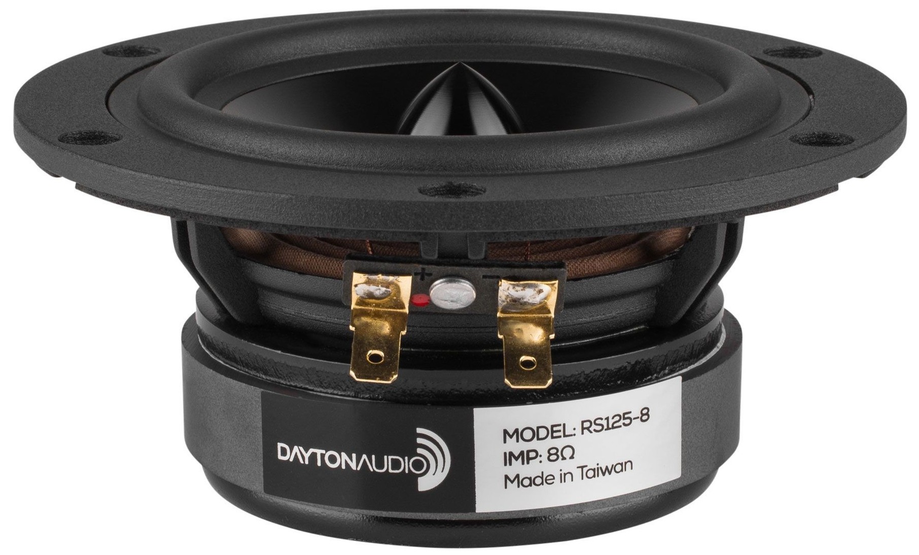 dayton rs125