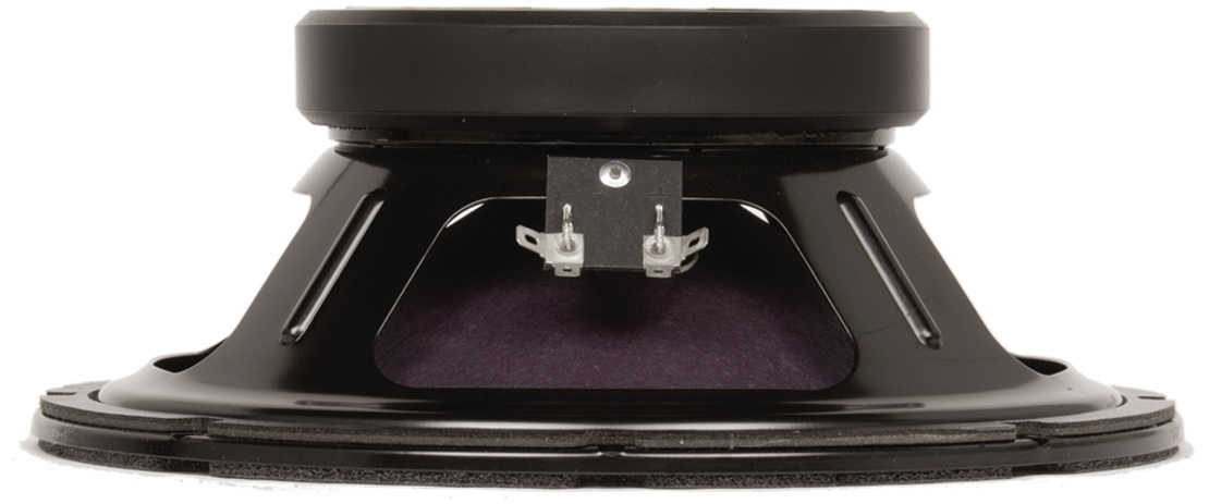 eminence ragin cajun 10 guitar speaker