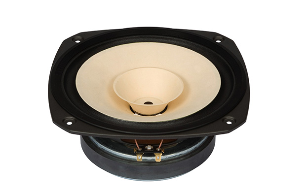 fostex fe206en price