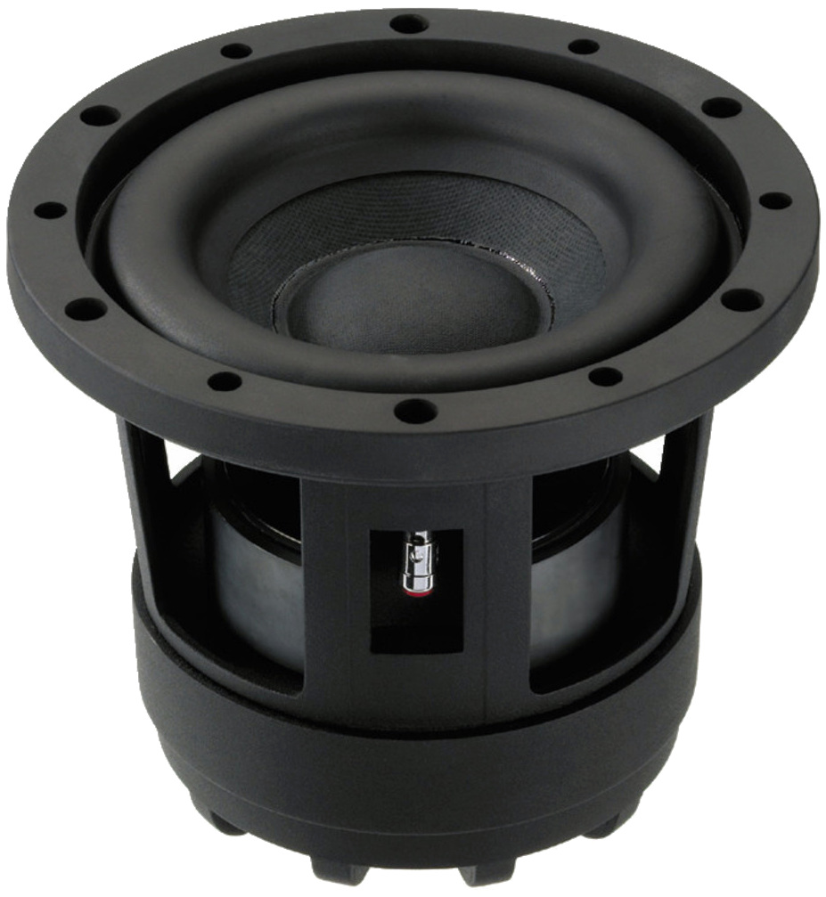 subwoofer raptor