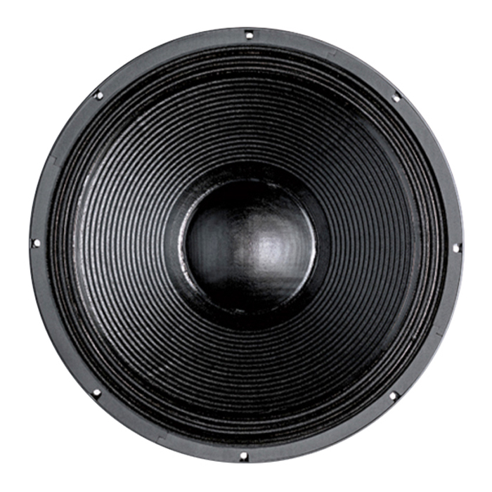 P.Audio GM18-100F Low frequency