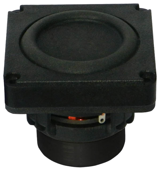 Tang Band W2-2040S Subwoofer