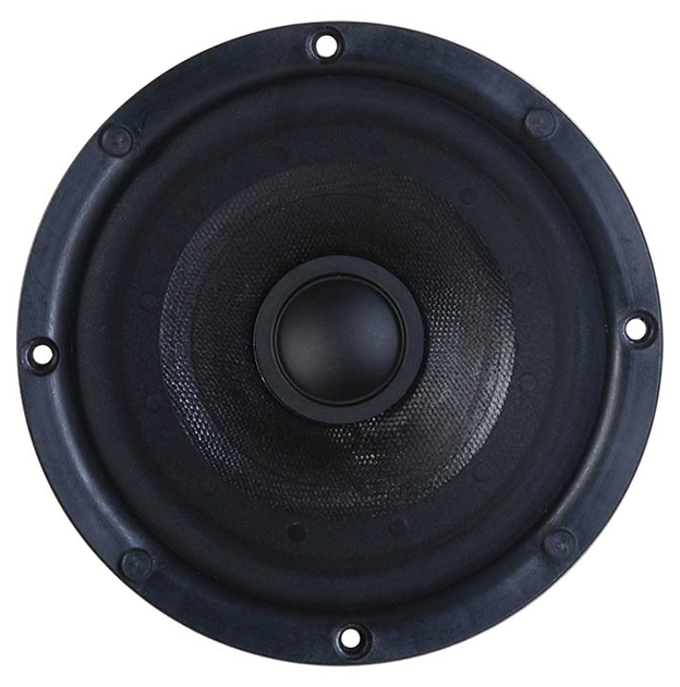 Tang Band W4-2099 Woofer