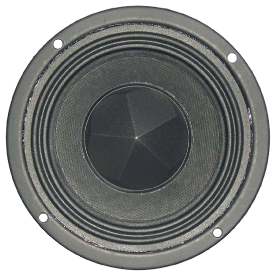 Tang Band W4-992SD Subwoofer