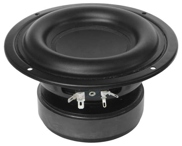 Tang Band W5-1138SMF Subwoofer
