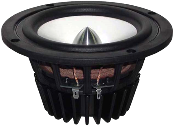 Tang Band W5-1140SD Woofer