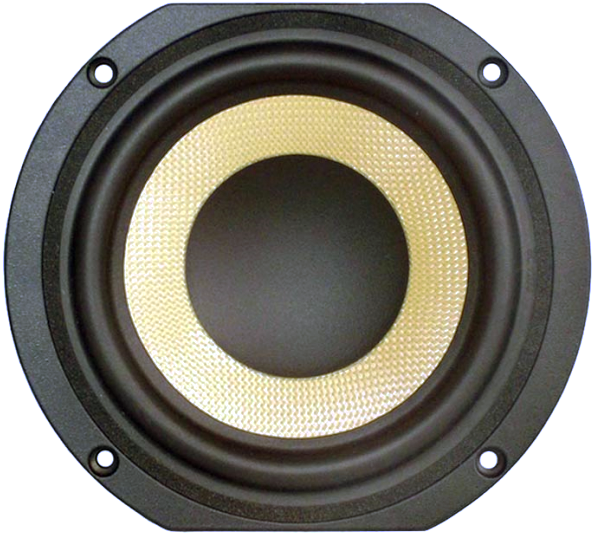 Tang Band W5-610SF Woofer