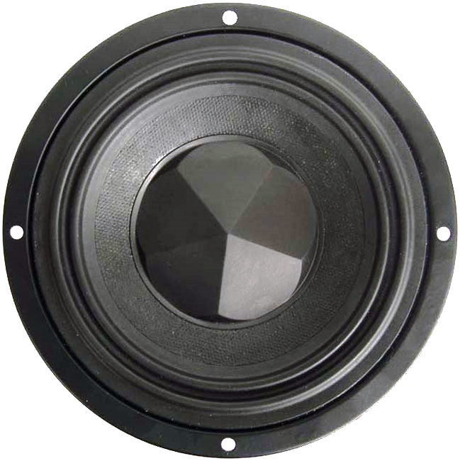 Tang Band W5-876SD Woofer