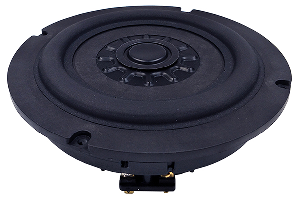 Tang Band W6-2253S Subwoofer