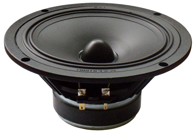 Tang Band W6-623I Woofer