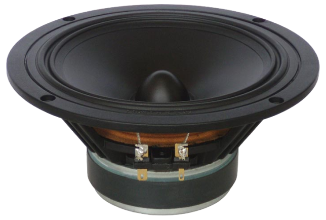 Tang Band W6-658I Woofer