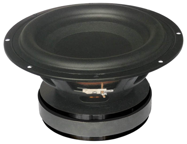 Tang Band W8-1363SBF Subwoofer