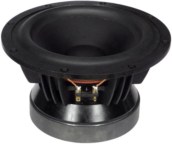 Tang Band W8-2096 Woofer