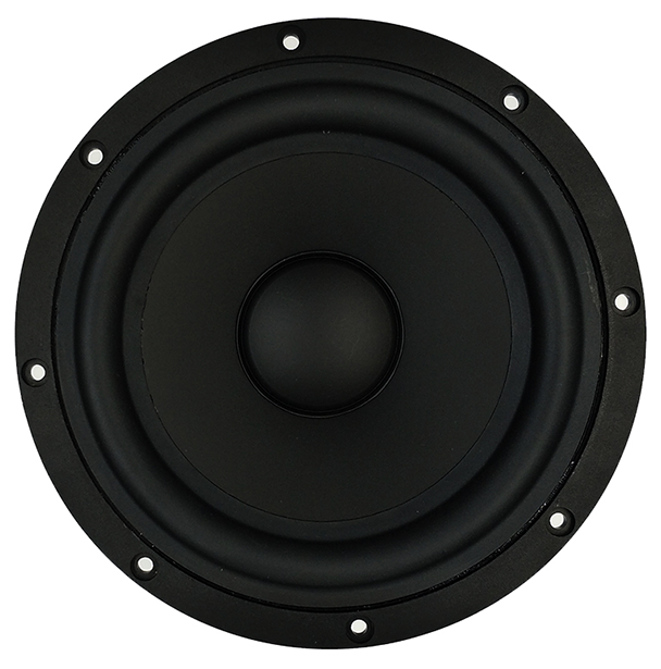 Tang Band W8-2096B Woofer