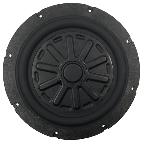 Tang Band W8-2282 Subwoofer