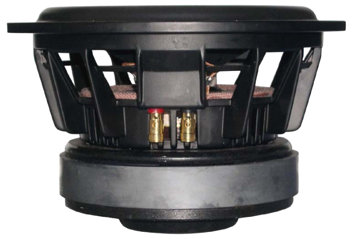 tang band woofer