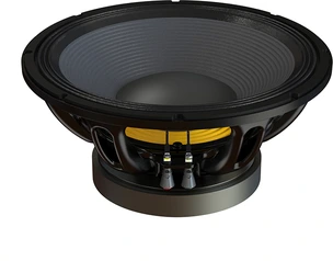 P.Audio 15FT-100SW Low frequency