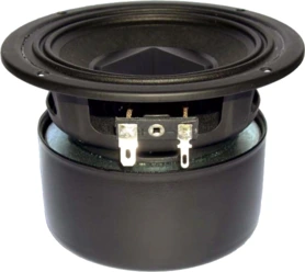 Tang Band W4-992SD Subwoofer