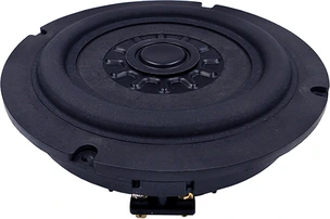 Tang Band W6-2253S Subwoofer